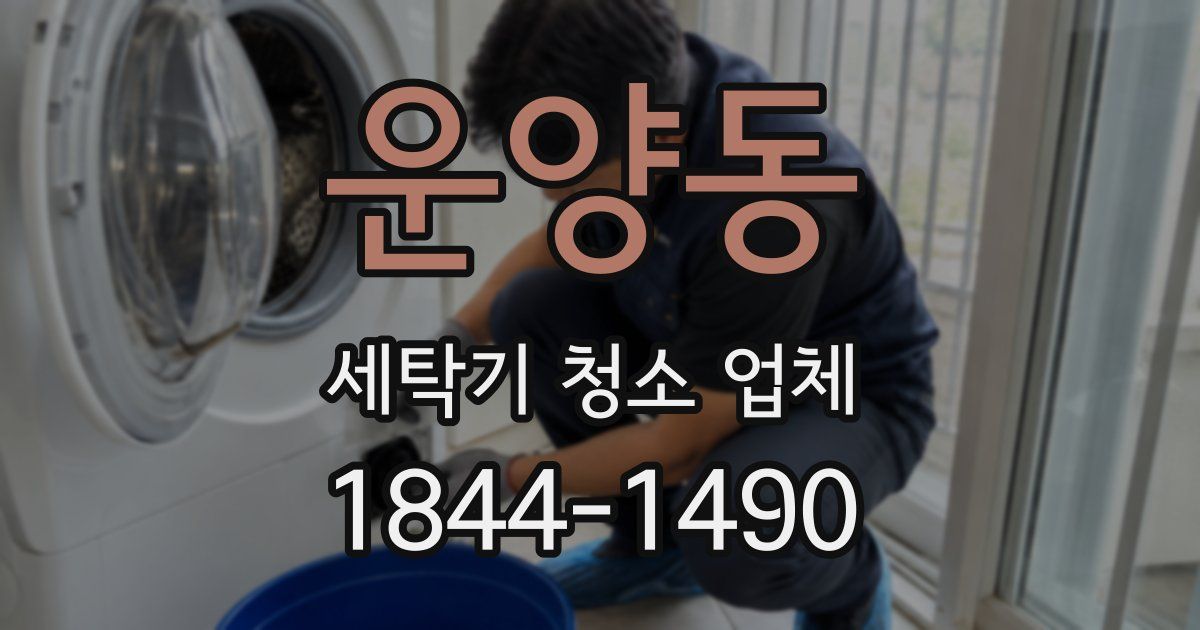 운양동 세탁기 청소 업체