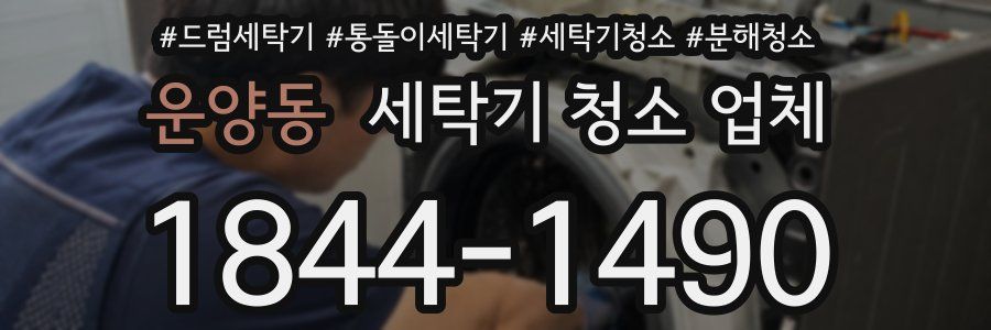 운양동 세탁기 청소 업체