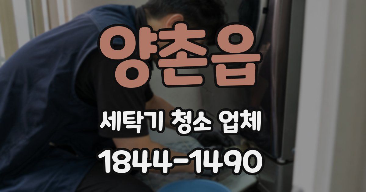 양촌읍 세탁기 청소 업체