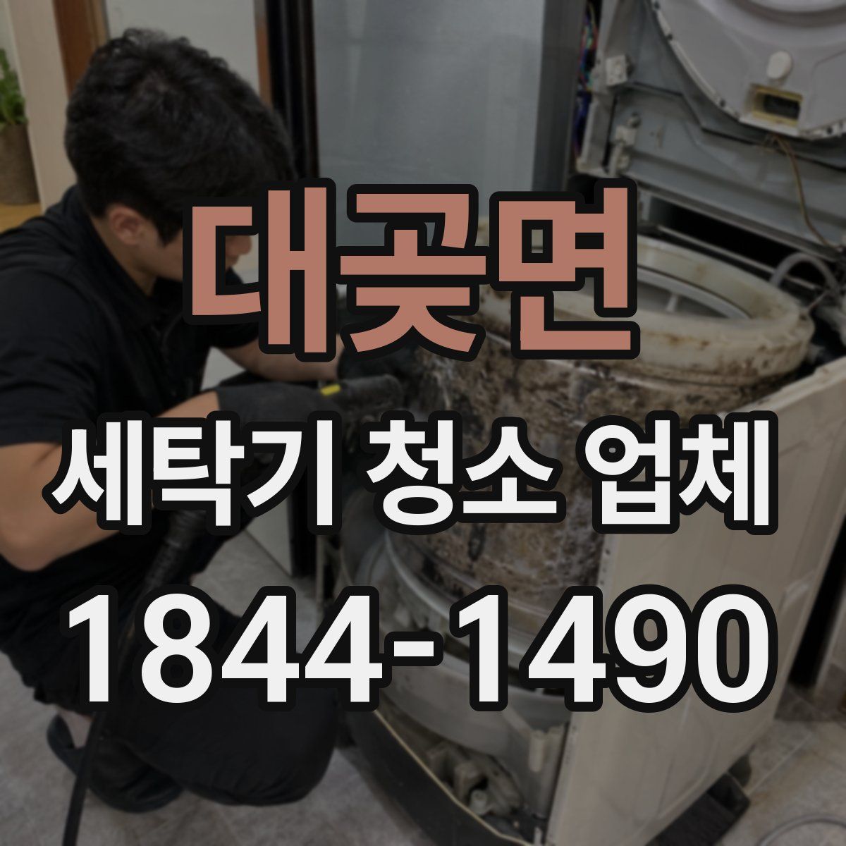 대곶면 세탁기 청소 업체