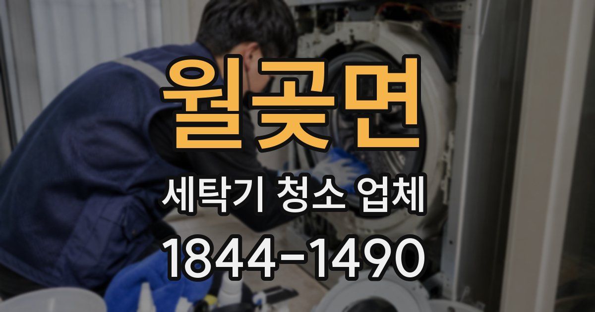 월곶면 세탁기 청소 업체