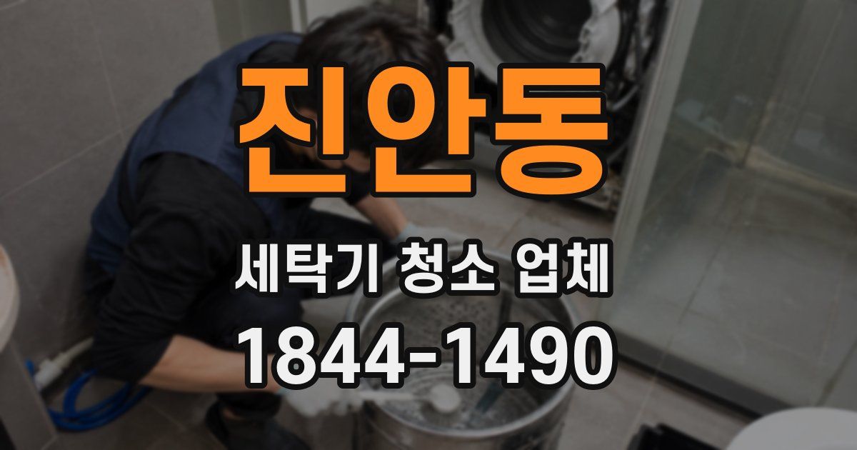 진안동 세탁기 청소 업체