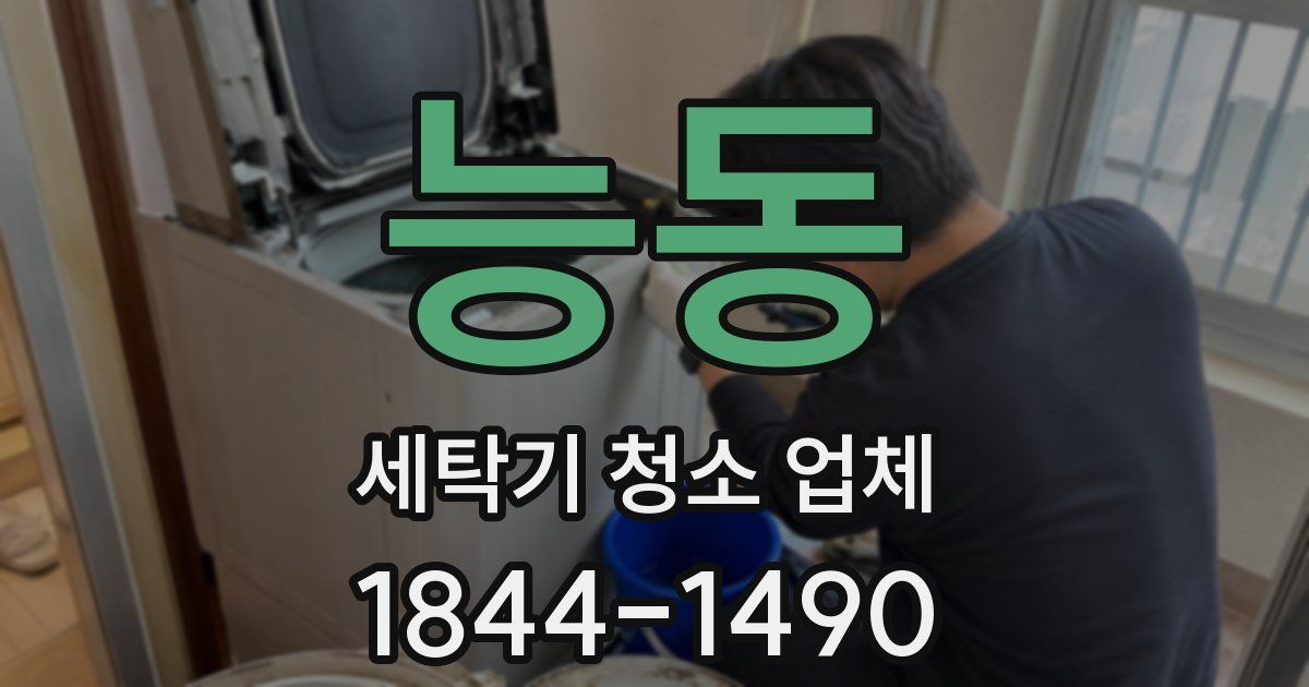 능동 세탁기 청소 업체