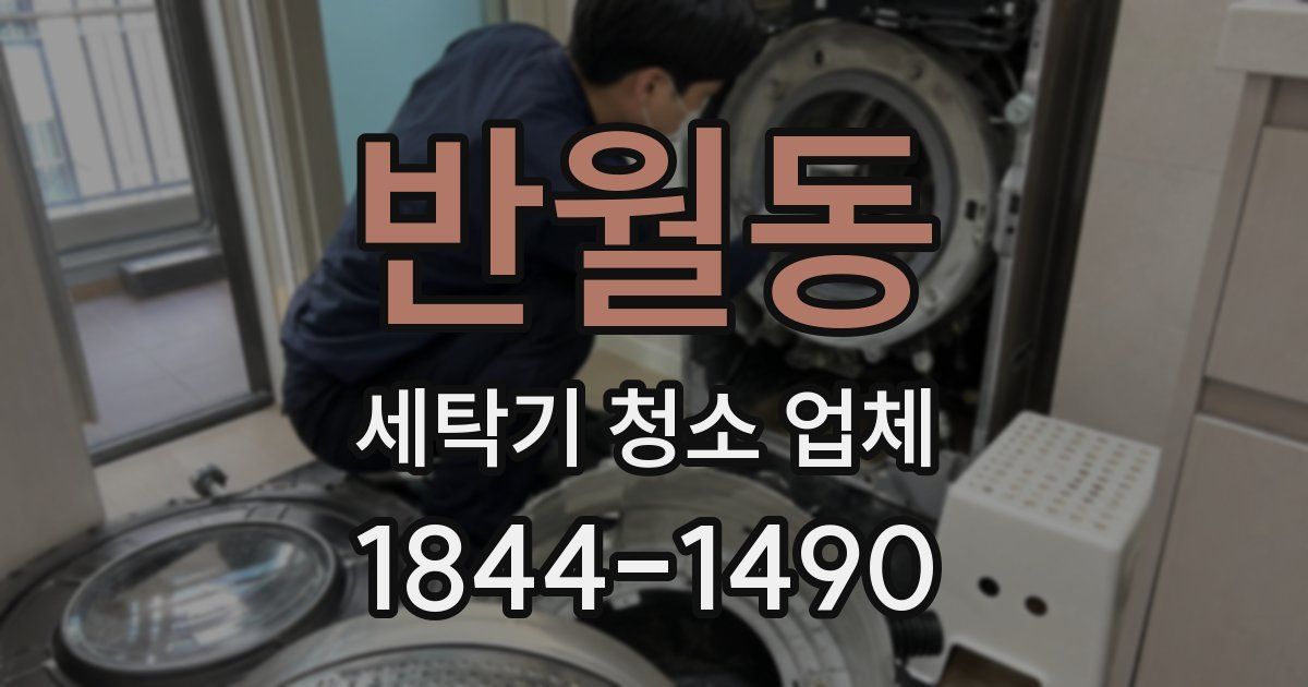 반월동 세탁기 청소 업체