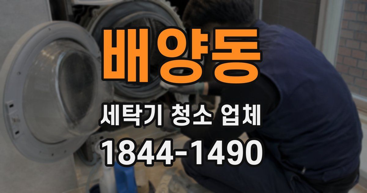 배양동 세탁기 청소 업체