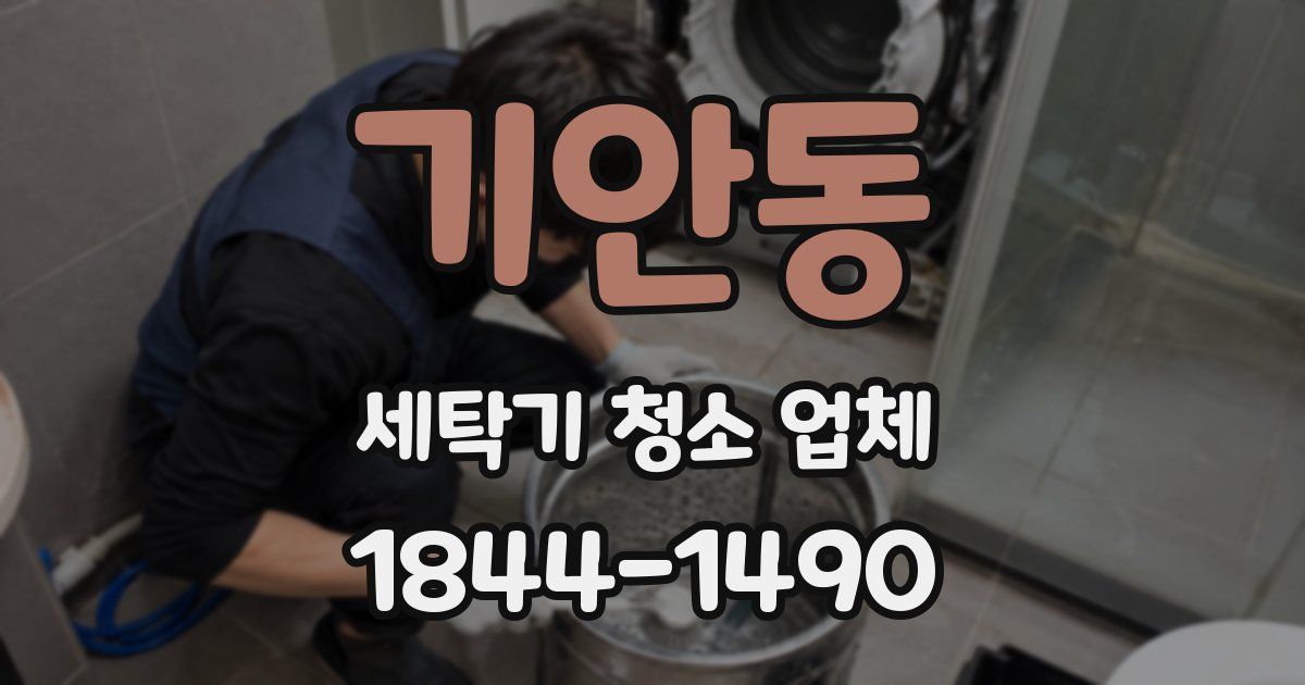 기안동 세탁기 청소 업체