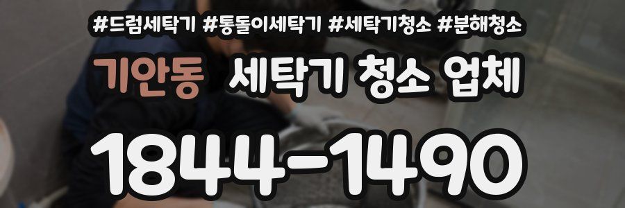 기안동 세탁기 청소 업체