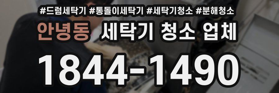 안녕동 세탁기 청소 업체