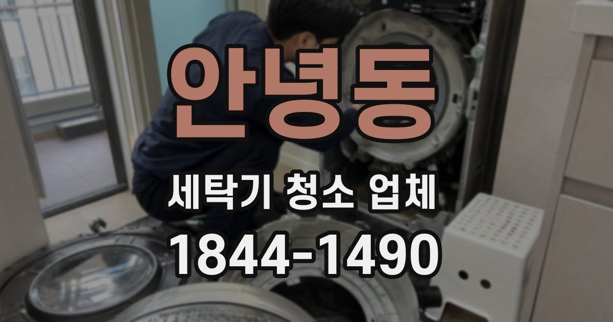 안녕동 세탁기 청소 업체