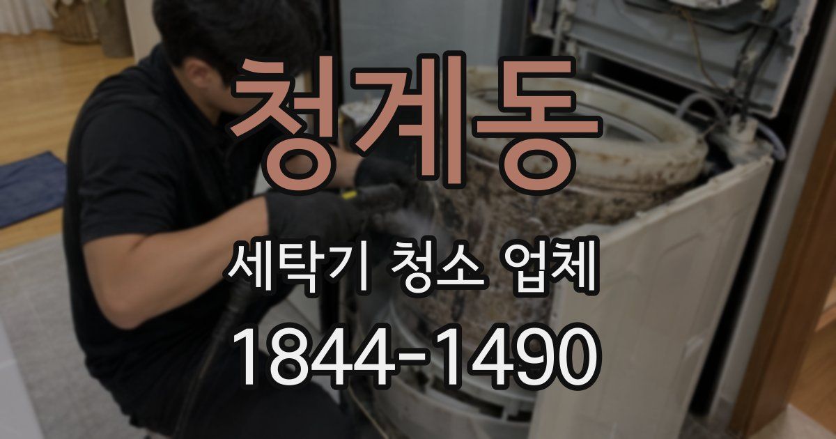 청계동 세탁기 청소 업체