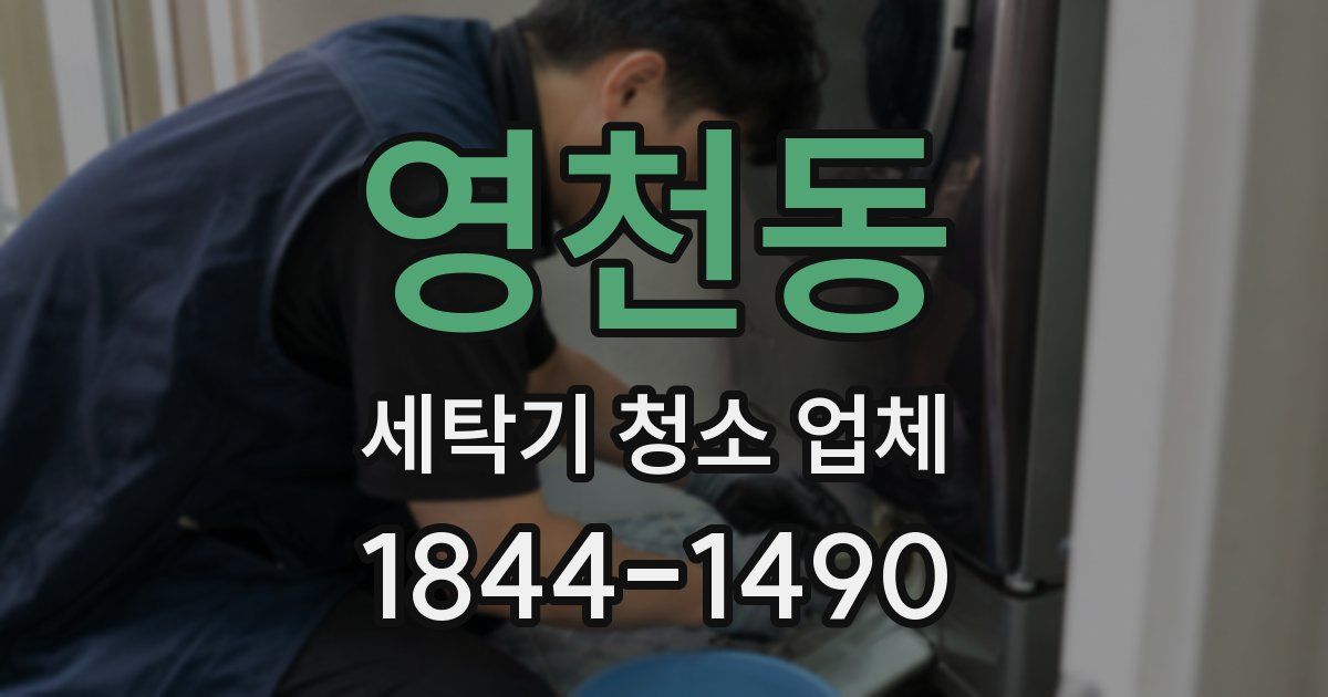영천동 세탁기 청소 업체