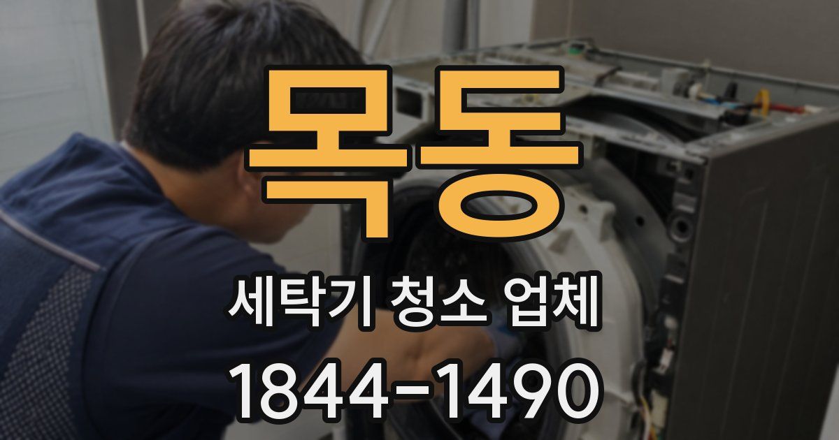 목동 세탁기 청소 업체