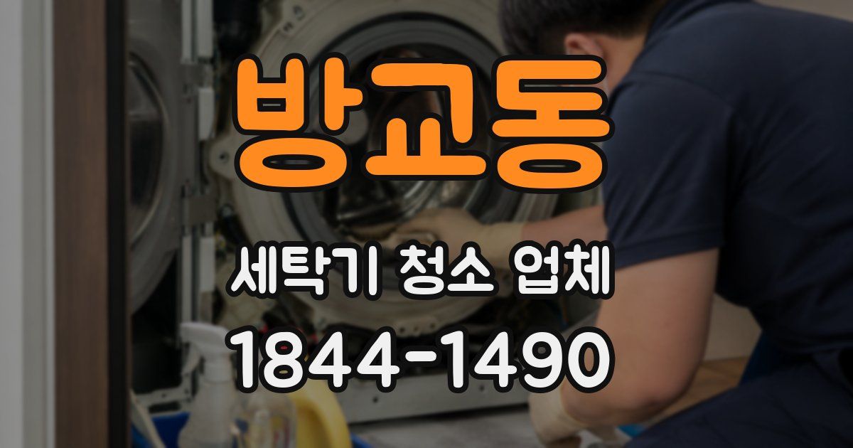 방교동 세탁기 청소 업체
