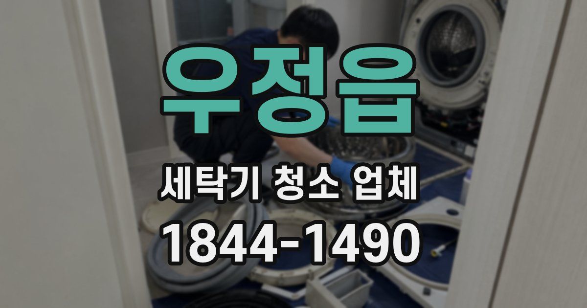 우정읍 세탁기 청소 업체
