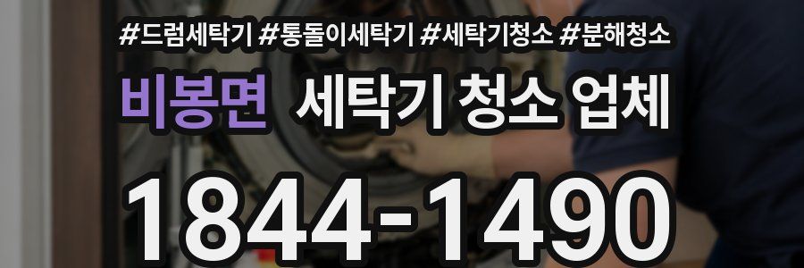 비봉면 세탁기 청소 업체