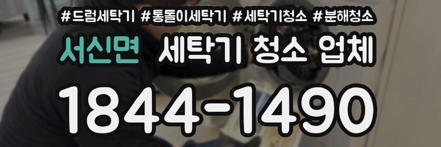서신면 세탁기 청소 업체