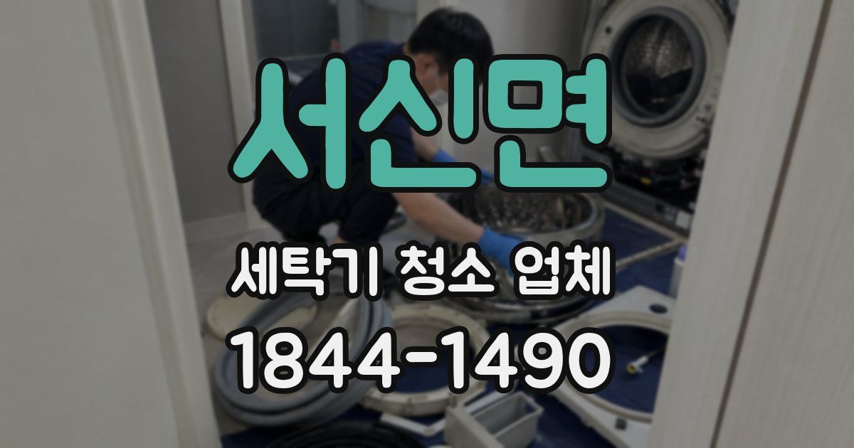 서신면 세탁기 청소 업체