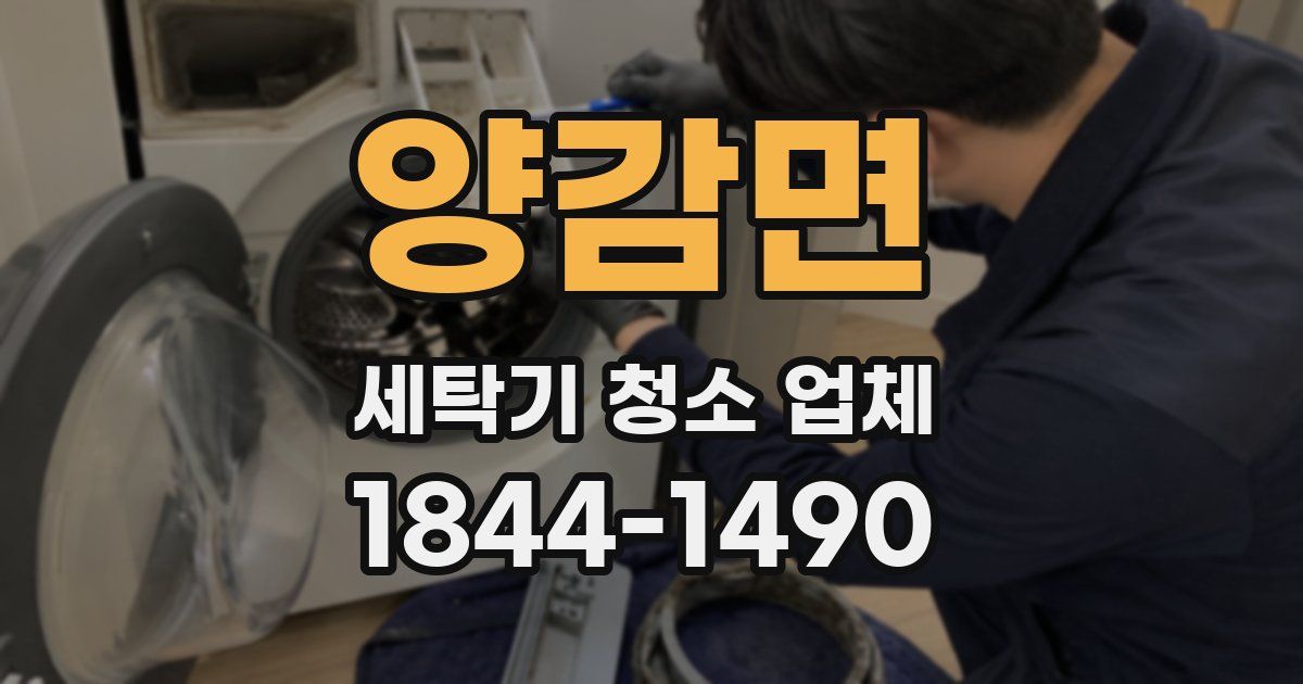 양감면 세탁기 청소 업체