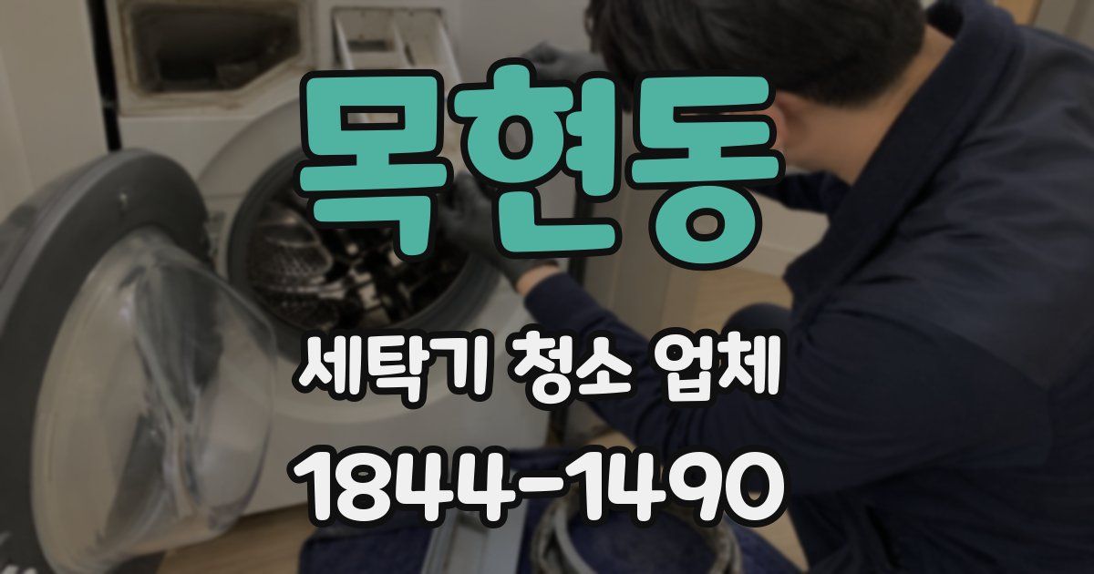 목현동 세탁기 청소 업체