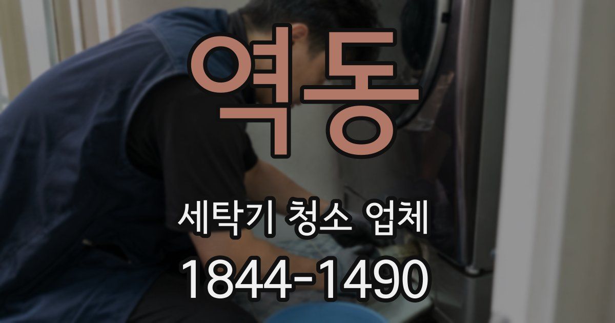 역동 세탁기 청소 업체