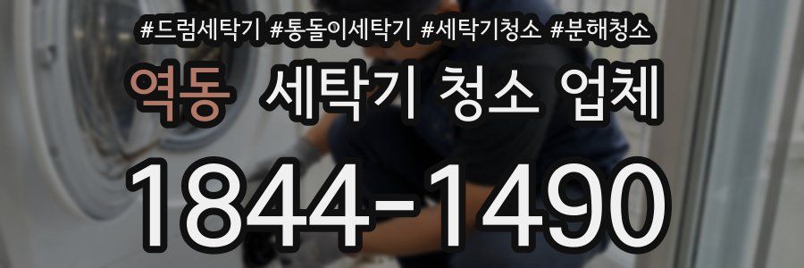 역동 세탁기 청소 업체