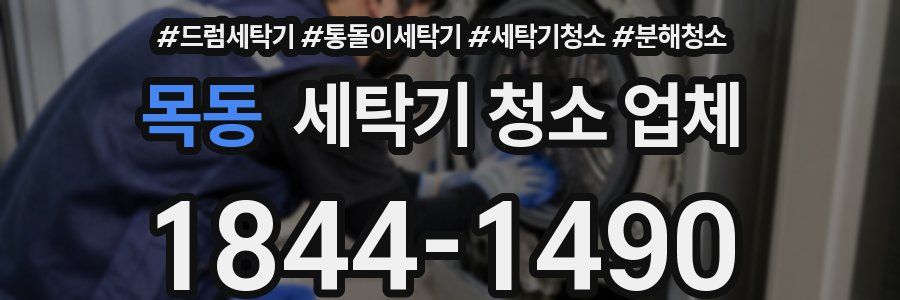 목동 세탁기 청소 업체