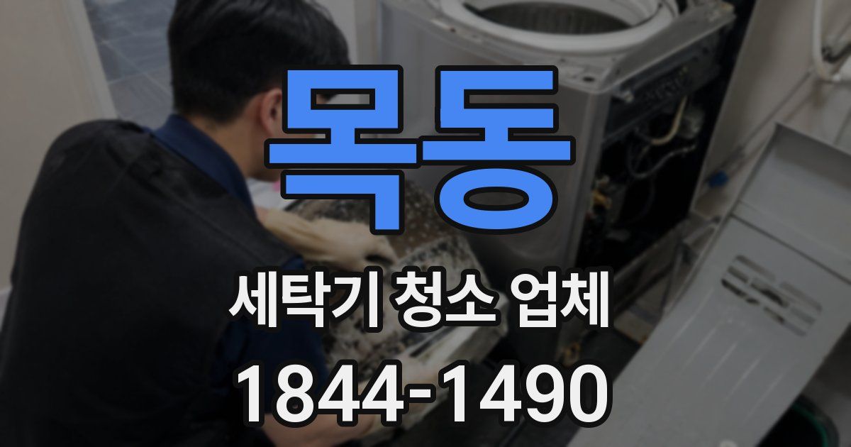목동 세탁기 청소 업체