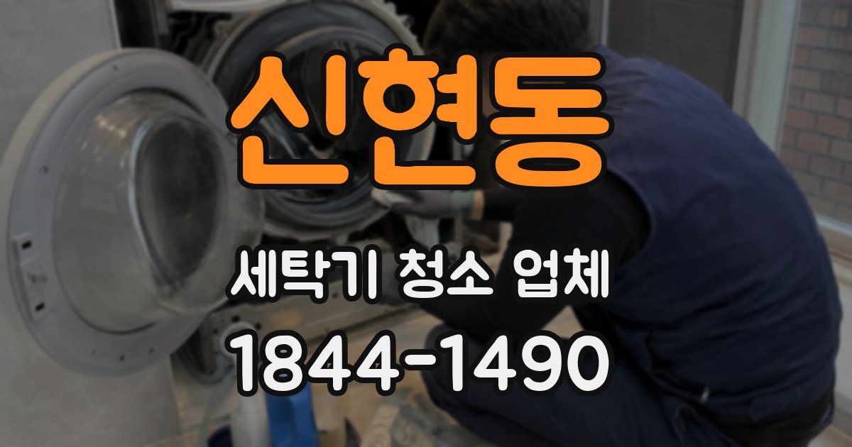 신현동 세탁기 청소 업체