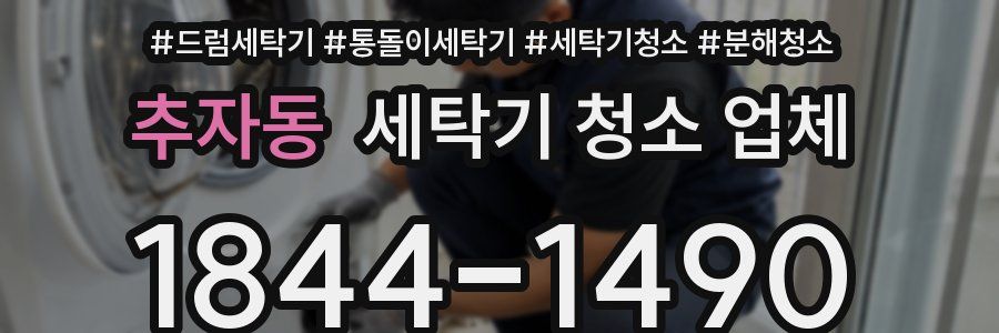 추자동 세탁기 청소 업체