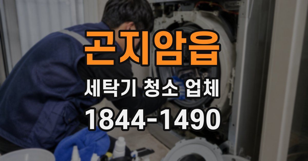 곤지암읍 세탁기 청소 업체