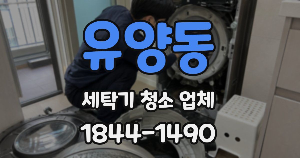 유양동 세탁기 청소 업체