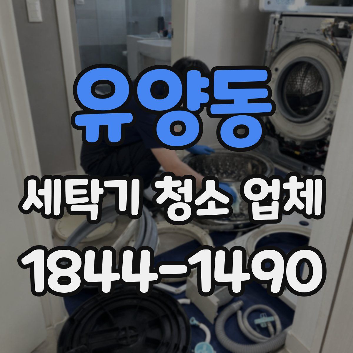 유양동 세탁기 청소 업체