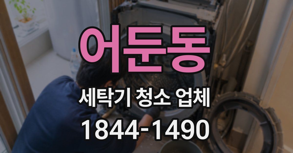 어둔동 세탁기 청소 업체