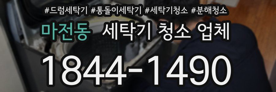 마전동 세탁기 청소 업체