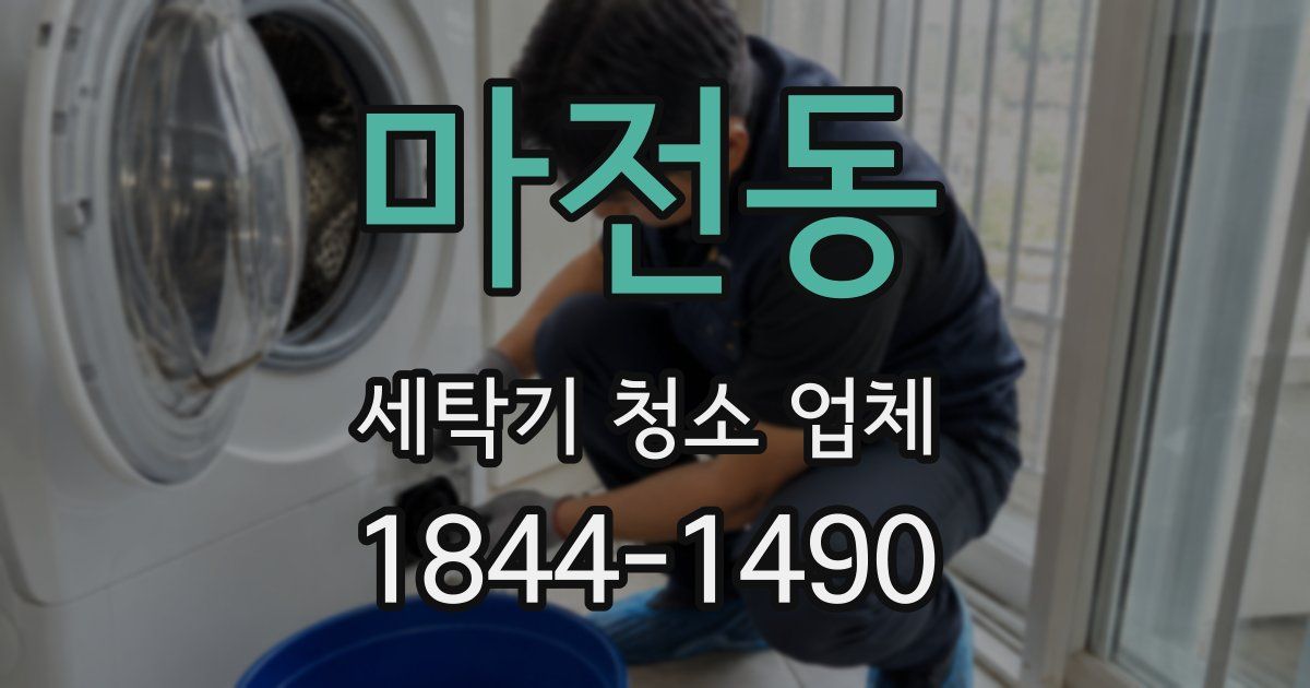 마전동 세탁기 청소 업체