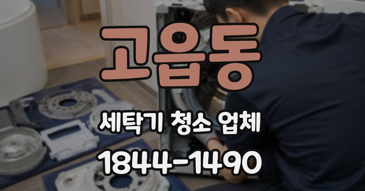 고읍동 세탁기 청소 업체