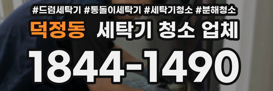덕정동 세탁기 청소 업체