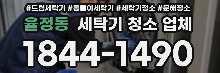 율정동 세탁기 청소 업체