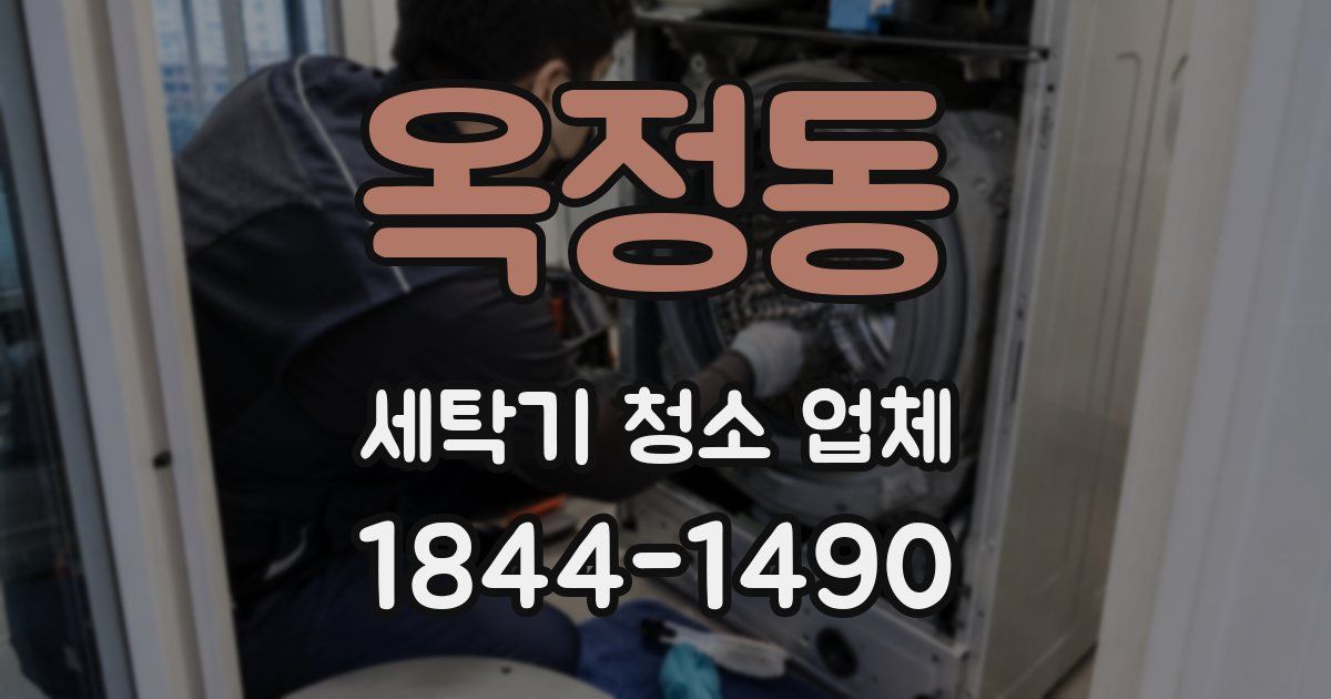 옥정동 세탁기 청소 업체
