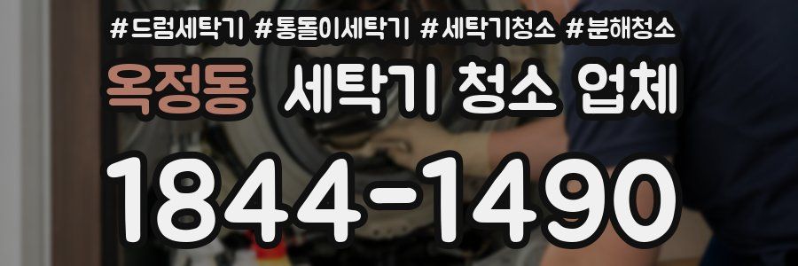 옥정동 세탁기 청소 업체