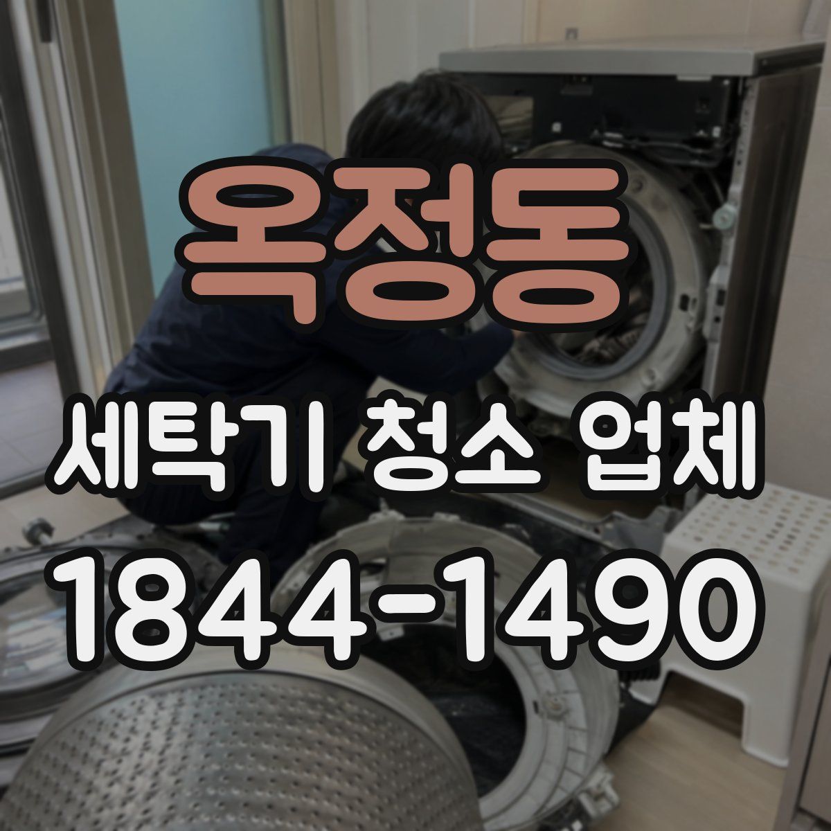 옥정동 세탁기 청소 업체