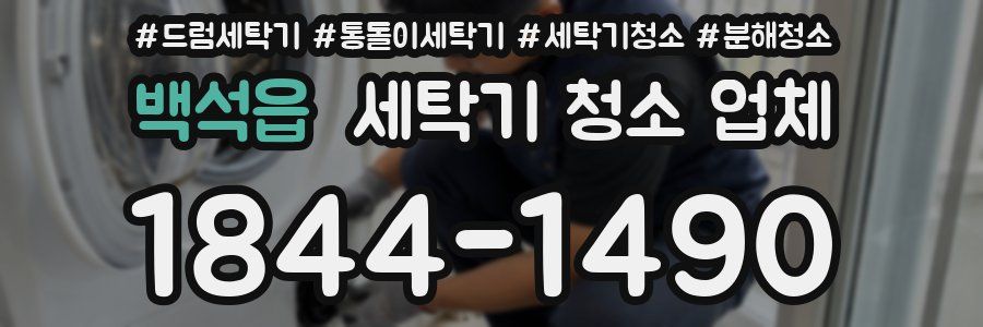 백석읍 세탁기 청소 업체