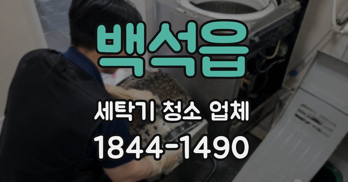 백석읍 세탁기 청소 업체