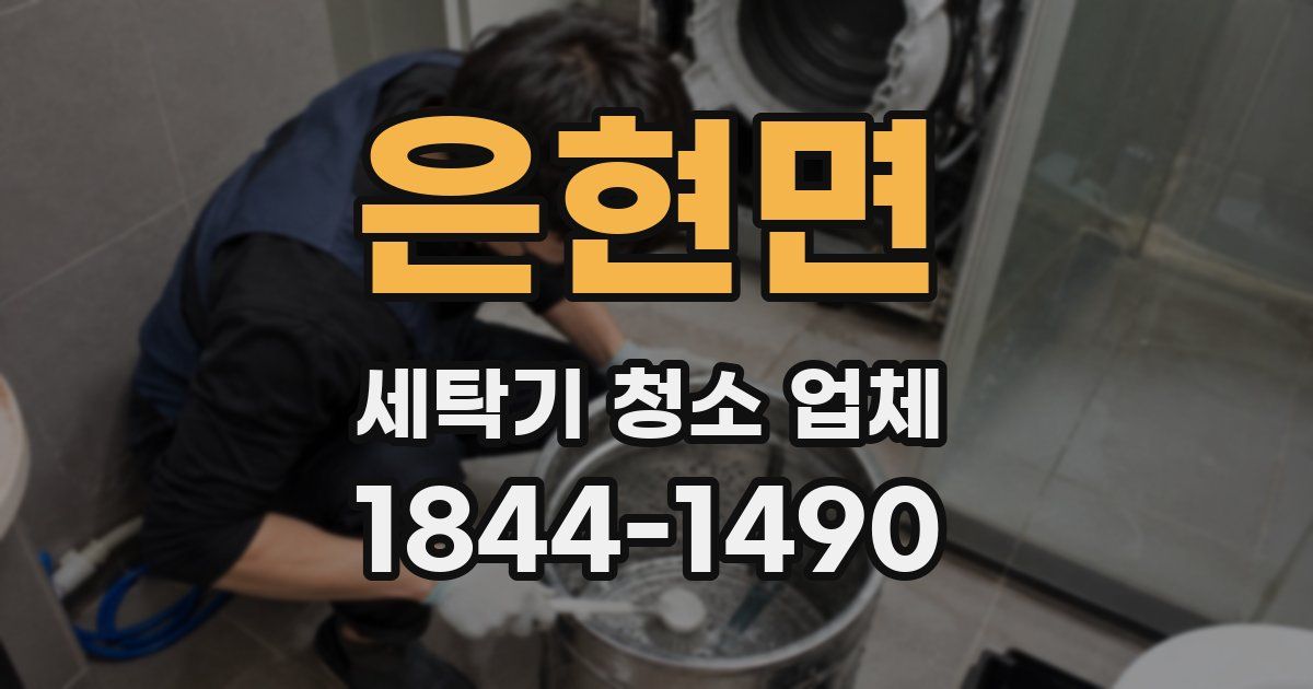 은현면 세탁기 청소 업체