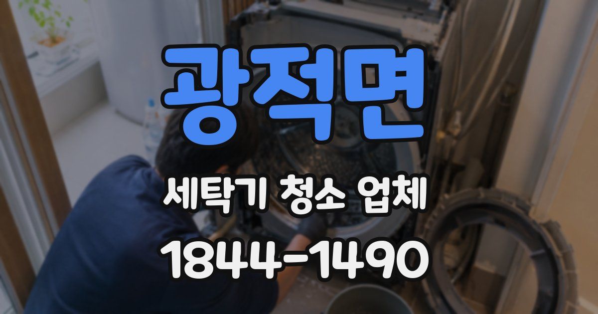 광적면 세탁기 청소 업체