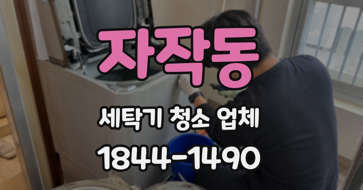 자작동 세탁기 청소 업체