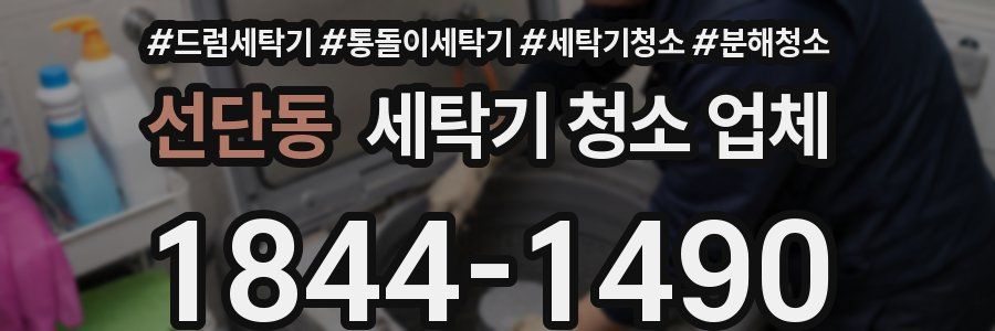 선단동 세탁기 청소 업체