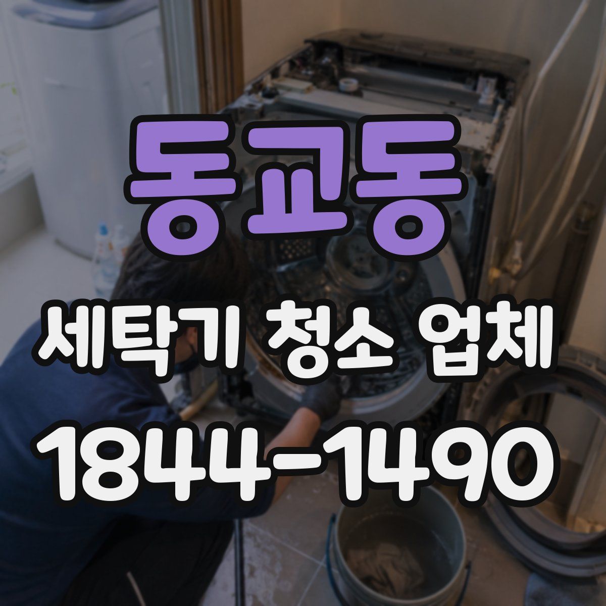 동교동 세탁기 청소 업체