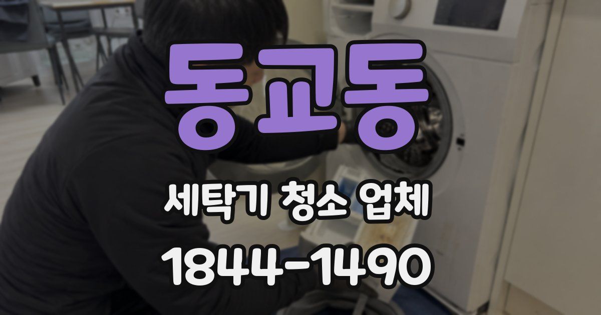 동교동 세탁기 청소 업체