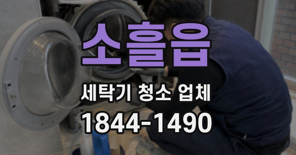 소흘읍 세탁기 청소 업체